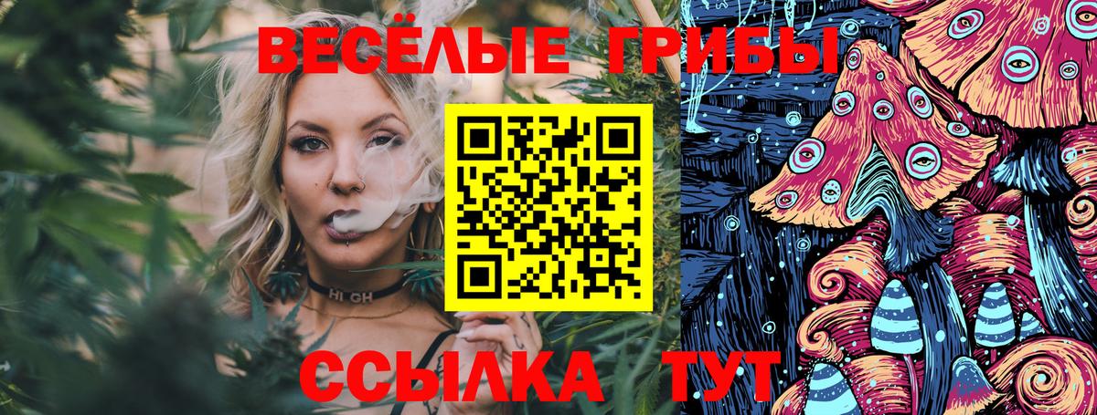 Галлюциногенные грибы Cubensis  Галлюциногенные грибы Magic Shrooms  Ставрополь  Вход с VPN 