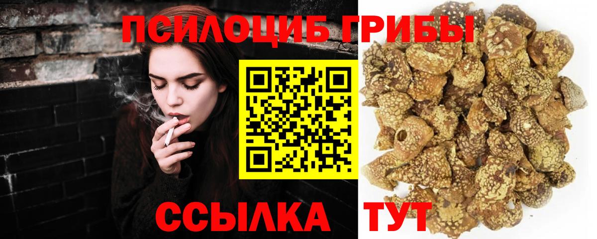 Псилоцибиновые грибы мухоморы Ставрополь