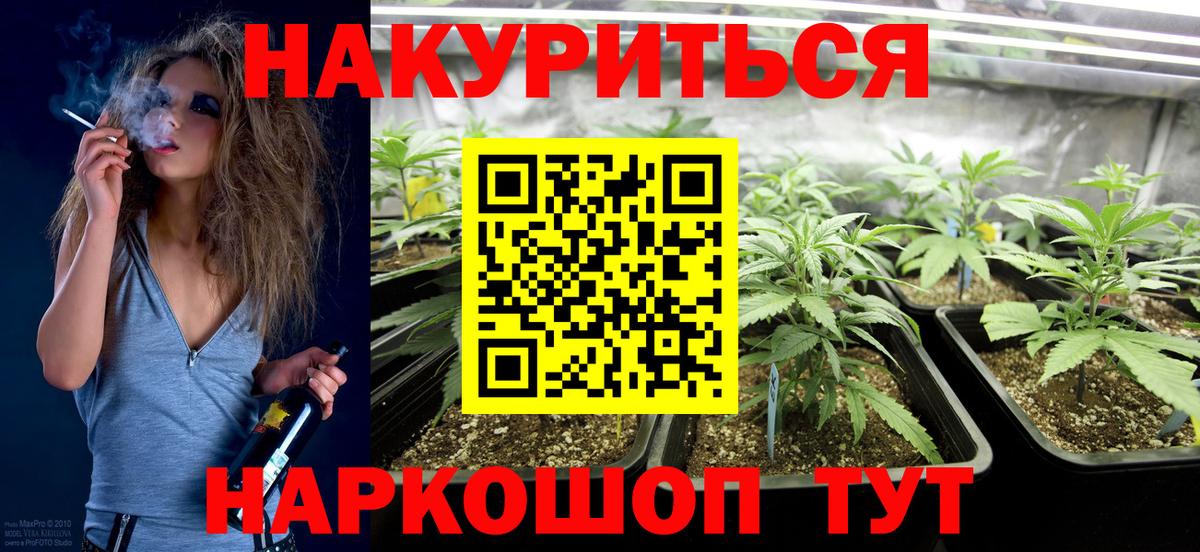 Каннабис SATIVA & INDICA  Бошки Шишки индика  Вход с VPN  Конопля сатива  Конопля планчик  Ставрополь 